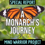 Mind Warrior Podcast